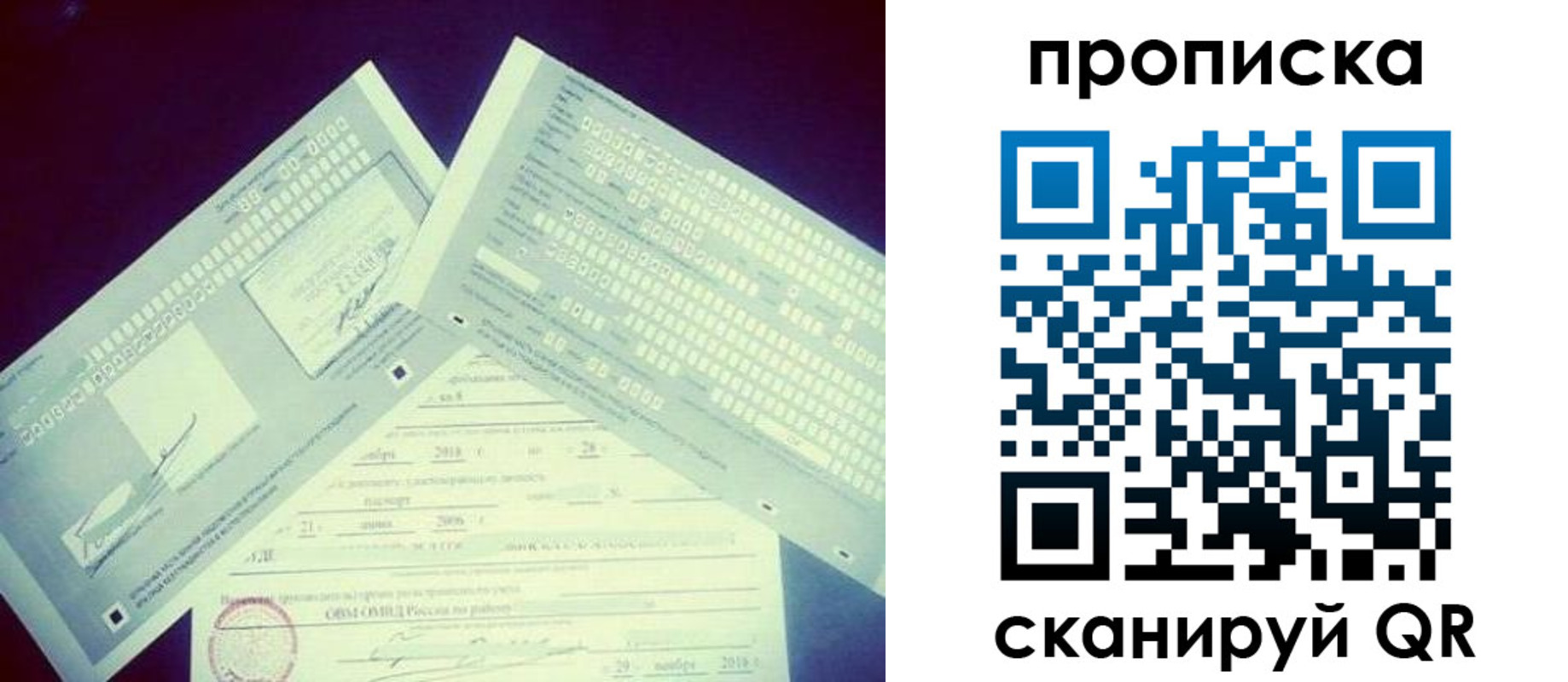 временная регистрация поиск в Волгоградской области